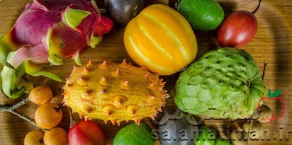 آشنایی با 11 نوع میوه گرمسیری