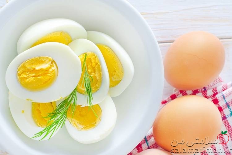 تخم مرغ یک نیروگاه واقعی تغذیه است