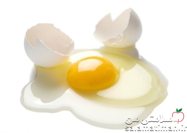 تخم مرغ و افزایش متابولیسم