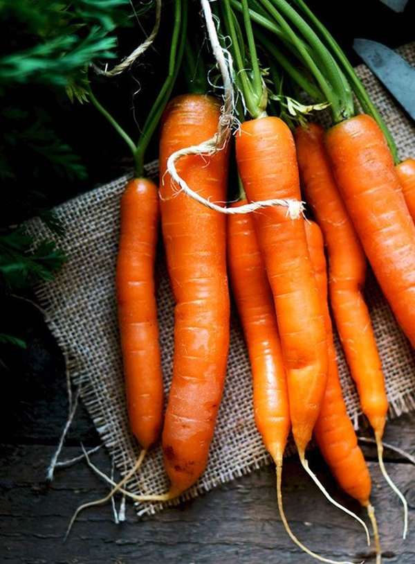 هویج برای بدنسازی