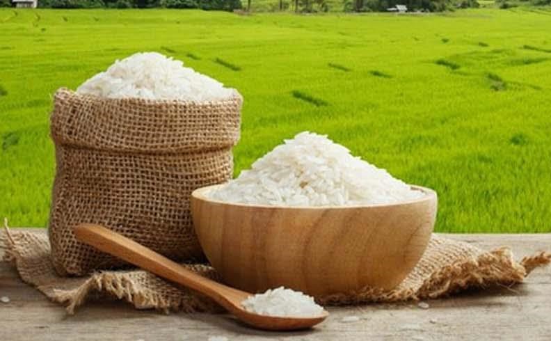 برنج و بهترین غذاها برای افزایش وزن