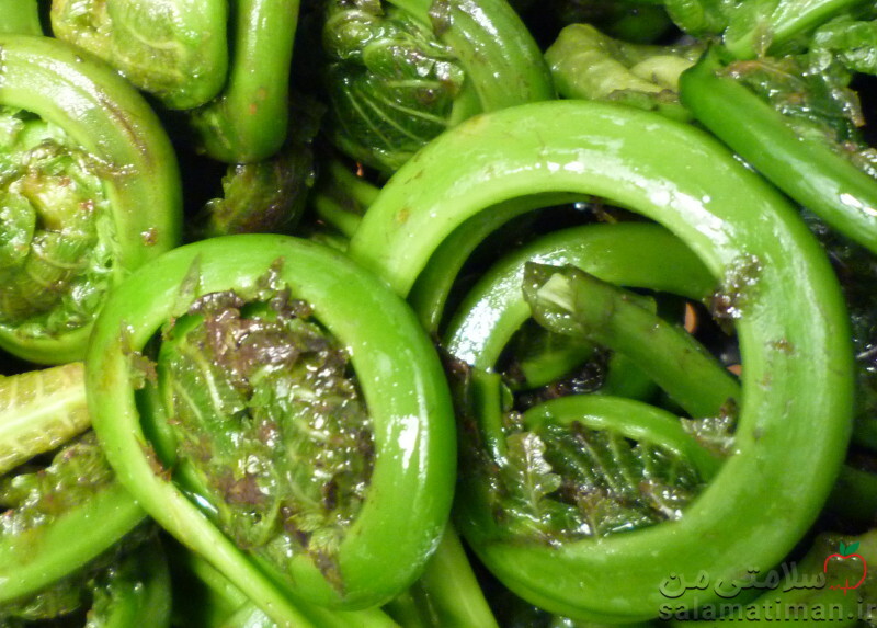 کمانچه سرخس منجمد(نیمه آماده)