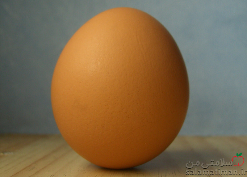تخم مرغ کامل خشک(استابلایزر شده)، کم گلوکز
